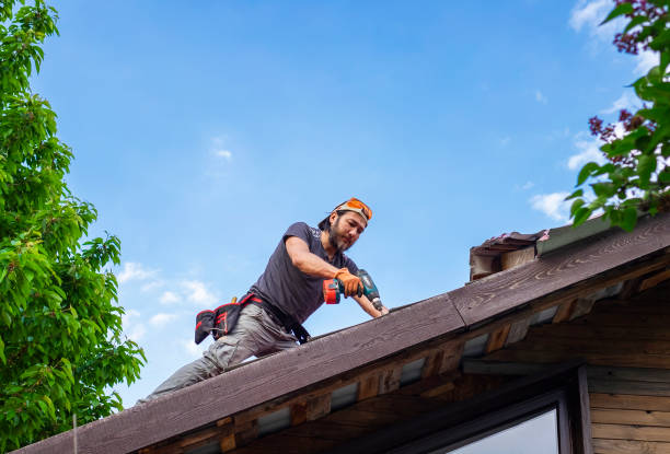 Best Roof Insulation Installation  in Swainsboro, GA